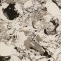 Auster künstliche Quarzstein polierte Platten