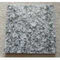 Polierte hellblaue Granitplatte Regenblume Granit